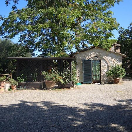 Fontemaggio Apartment Colle Val D'Elsa Bagian luar foto